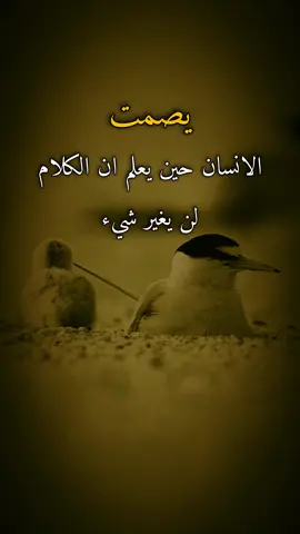 #اقتباسات #عبارات #ايرين #يصمت الإنسان حين يعلم ان الكلام لن يغير شيء