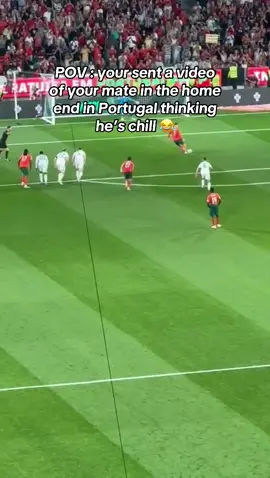 ICONIC 😂😂 #Lisbon #irelandfootball #portugal #Ronaldo #fai 