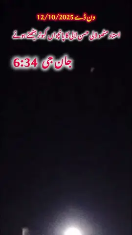 #creatorsearchinsights استاد مٹھو لالی حسن لالی کا پانچواں کبوتر بیٹھتے ہوئے #foryou #viral #foryoupage 