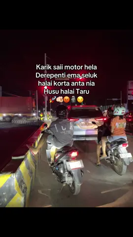 Nia husu halai taru😂😂🤣🤣#timorlestepride🏝🔥🇹🇱 #produktimorleste🇹🇱 #fyptimorpride🌴🇹🇱 #xybcafyp #fypシ゚ 