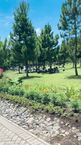 Gasinn main ke alam #fyp #banyuwangi #alam #4u #healing 