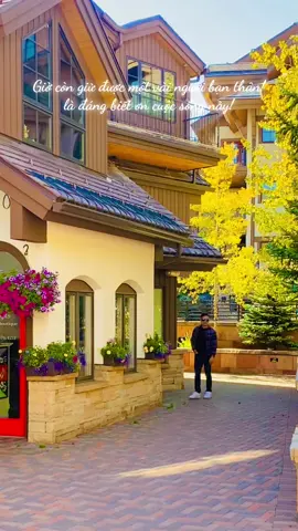 3 người bạn trên chuẩn bị lấy vợ Việt! xem như ta sắp có bạn đồng hương #fyp #videotamtrang #xuhuong #viral #💛🍁🧡🤎🍂 