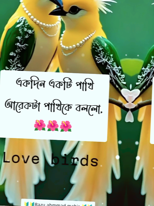 #একটি পাখির গল্প#💐razu💐 #foryoupage #entertainment #viralvideo @#foryou 