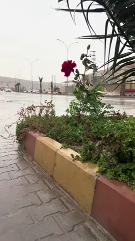 مطر#ادلب#سرمدا#حمص #تركيا