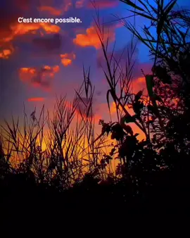 #cestencorepossible #chretientiktok #adorationchretienne #alainmoloto #gaelmusic 