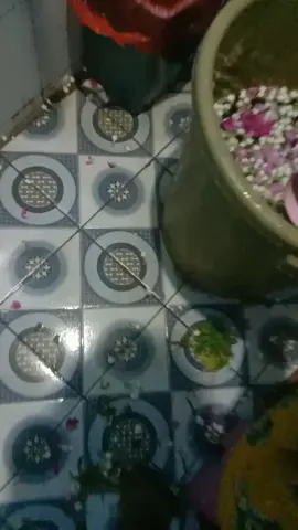 #ritualmandi #budayajawa #mandikembang #menbersihkanauratubuh #memancarakancahyabadan 