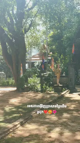 ប្រាសាទព្រៃដើមស្រុក ស្ថិតនៅក្នុងភូមិបឹងជ័រ ឃុំព្រៃទឹង ស្រុកស៊ីធរកណ្តាល ខេត្តព្រៃវែង#ស្រុកសុីធរកណ្តាល_ខេត្តព្រៃវែង #កូនអ្នកព្រៃវែង❤️ 