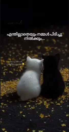 😊😊😊