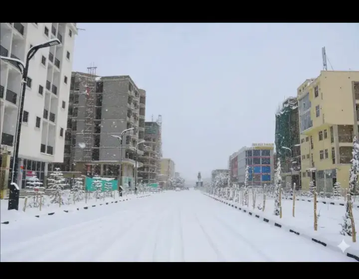 #jigjiga_somali_galbeed 