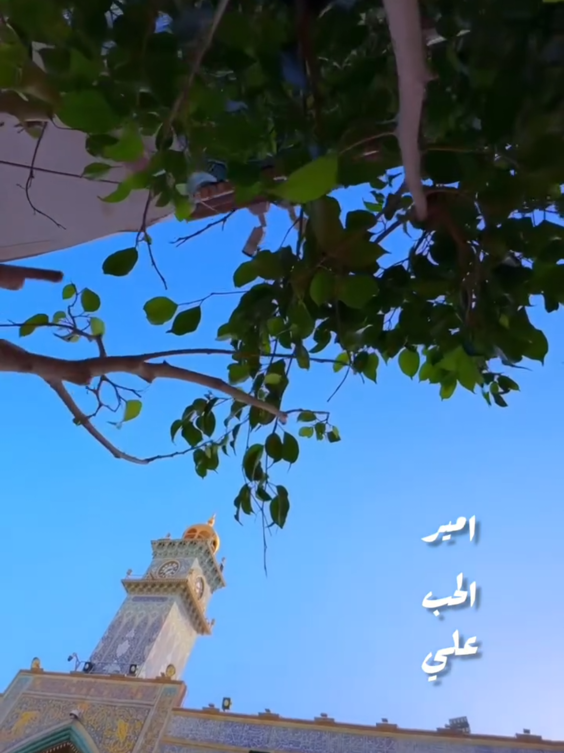 #ياعلي #ياعلي_مولا_عَلَيہِ_السّلام 