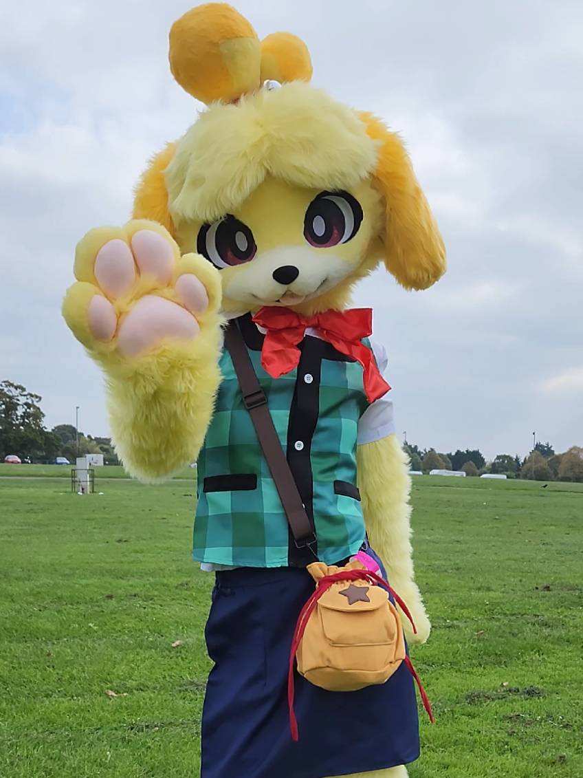 Heya Mayor! 💛 like my new Bell bag? it fits Isabelle perfectly!! #fursuit #fyp #cosplay #Isabelle #animalcrossing 