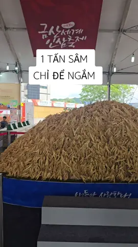 Nhìn đã con mắt các bác ạ  Guemsan ko có gì ngoài sâm #sâmhanquoc #Harisamnam #Sâmhan #sâmhangiare 