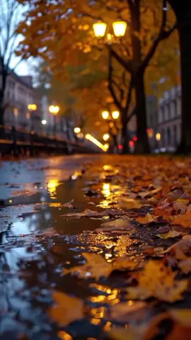 #لو_فينا_نهرب_ونطير 🍁🍂#ليك #متابعة #واكسبلور 