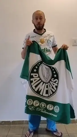 Você precisa ter essa bandeira do maior campeão do Brasil #futebol #brasileirao #tiktokshop #palmeiras 