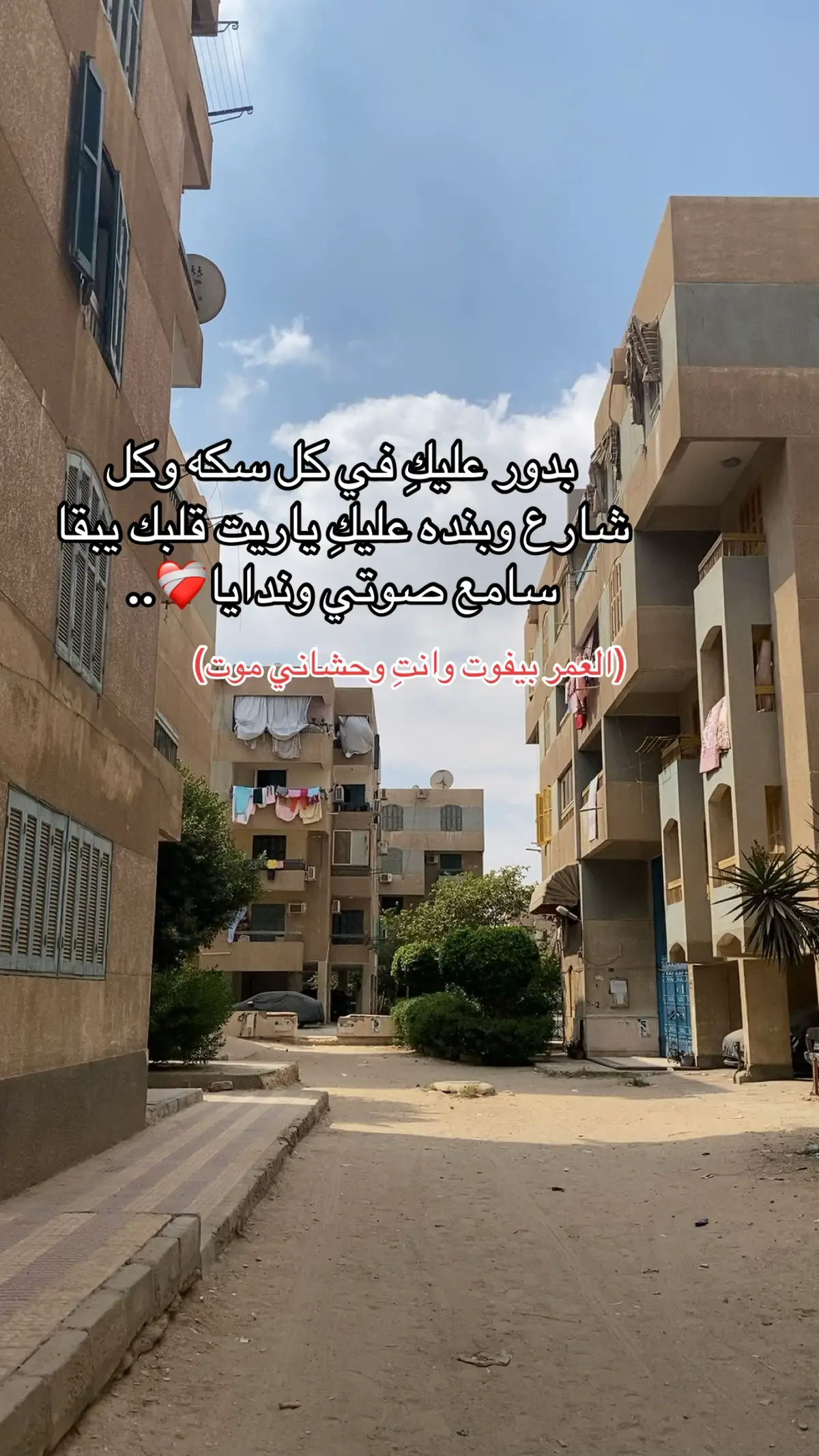 #العاشر_من_رمضان 🤷🏻‍♀️❤️‍🩹