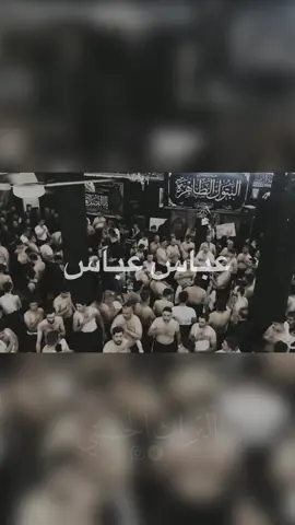 عباس عباس ثلاث دكات نجفيه الرادود محمد الكرعاوي  #ابا_الفضل_العباس #ثلاث_دكات_نجفية #عباس #موكب_النجف_الاشرف#قصائد_حسينيه #الطور_النجفي_الاصيل #العباس_عليه_السلام #الرادود_محمد_الكرعاوي #النجف_الأشرف #ليلة_السابع_من_محرم 