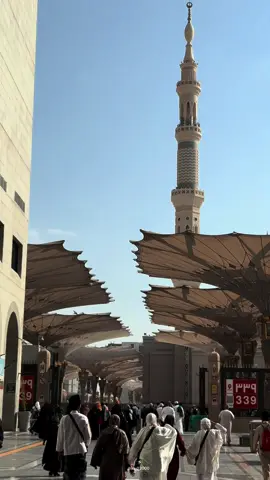 وكان الصحابة - رضي الله عنهم - يتذاكَرون نعَمَ الله عليهم، فخرجَ عليهم النبي - صلى الله عليه وسلم -، فسألَهم فقالوا: جلَسنا نذكُر الله ونحمدُه على ما هدانا للإسلام ومنَّ به علينا؛ رواه مسلم #عبدالمحسن_القاسم#اكسبلور#foryou#fyp#foryoupage