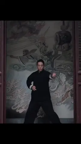 #kungfu #wingchun #master #lee25dragon #viralvideo #views #fyp 