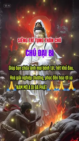 NAM MÔ A DI ĐÀ PHẬT🙏🙏🙏#phatphapnhiemmau #nammoadidaphat 