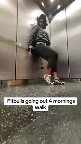 Swear they be acting up on the elevator to go outside to pee #funnyvideos #PetsOfTikTok #pitbullsoftiktok #fypシ゚viral #poplipsneighborhood 