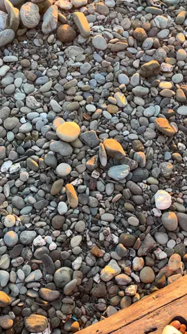 #storytimur #lagutimur #namrole🌴🏖️ #sunset #sansetvibes 