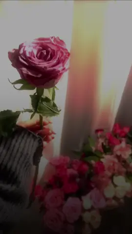 #CapCut #عبد_المجيد_عبدالله #تصميمي #اكسبلورexplore 