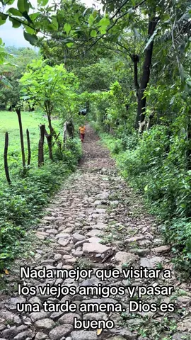 Visitando viejos amigos 