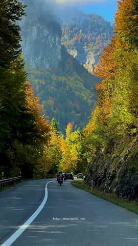 #switzerland🇨🇭 🍁🍂 #switzerlandtourism #beautifulplaces #switzerlandmountains #claudia__rodrigo 