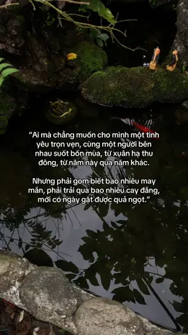…#tamtrang #story 