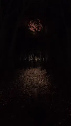 Please Repost ♥️🥺 #foryou #drisrarahmad #viral #join_ma #tiktok 