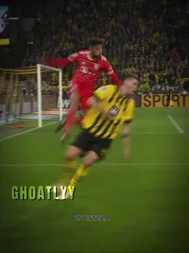 The Passion 😍 #footballtiktok #bundesliga #bayernmunich #dortmund #foryoupage 