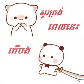 អារម្មណ៍ត្រូវការបង 😉. ស្រី 🤭 #creatorsearchinsights #fyp #lyrics #foryou #viral 