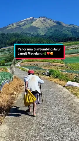 Panorama Sisi Sumbing Magelang Jateng 🌿❤️😍#sisisumbing #gunungsumbing #magelangexplore #wisatamagelang #lagujawa 