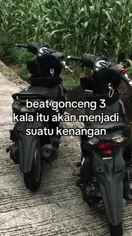 momen