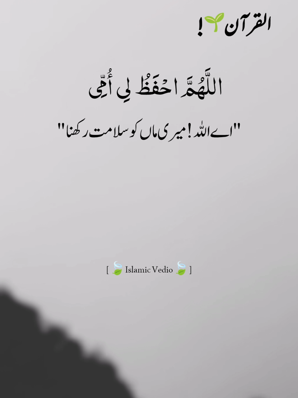 course of #💝🥀 #repost #request #true_lines #islamic_video @𝐅𝐢𝐤𝐡𝐫𝐞-𝐃𝐞𝐞ن🫀 @🍃𝐐𝐔𝐑𝐀ن𝐈_𝐖𝐎𝐑𝐋𝐃🍃 