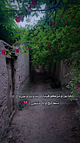 # غابو وتركو فينا ندوب وجروح لا تتعالج ولا تشفى💔#CapCut #تصميمي #تصميم_فيديوهات🎶🎤🎬 #كحيلان_البجاري #تسألني_الشوارع_وين_الحباب_عبارات 