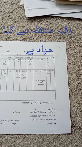 #viral #foryou #creatorsearchinsights 