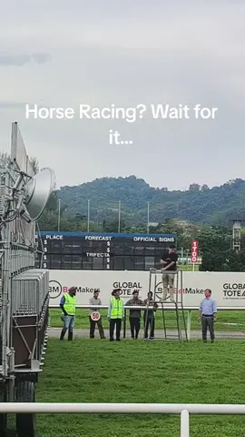 Golshi front is not in my bucket list this year #umamusumeprettyderby #cosplay #anime #horseracing #umamusume 