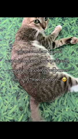 အံမယ် မသိရင်ငါက play girl လေးပါပေါ့#fyp #virulvideo #moots? #fyppppppppppppppppppppppp 