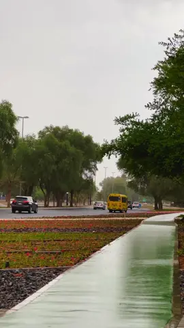 أمطار اليوم ١٢-١٠-٢٠٢٥ #العين #العين_دار_الزين #مطر #rain 