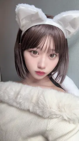 今年のハロウィンは白猫𓏲𓎨 #すいすて