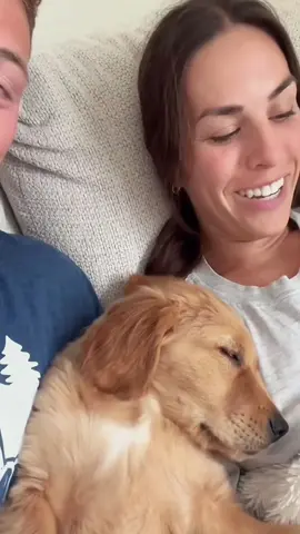 Try not to laugh when you watch 😂😂😂 #funny #dog #animals #funnyvideos #cat 