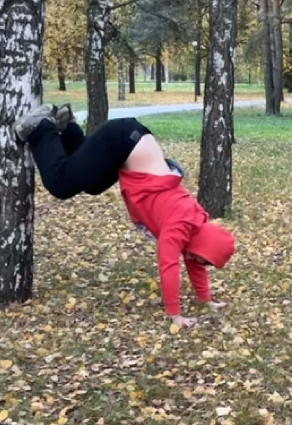 TWILIGHT SEASON 🩸🩸🩸#fyp #trending #twilight #cringe #dance 