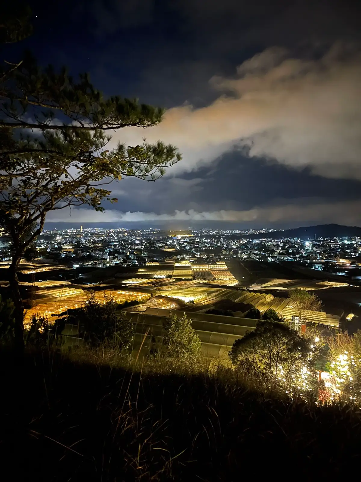 #dalat #clip #chill #reviewdalat #daoduyquang 
