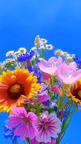 #မသိလို့ပါ လျှော့ ချစ်ရသလား#ရောက်ချင်တဲ့နေရာရောက်စမ်းfypပေါ်😒myanmartiktok ##