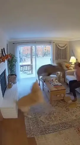 brother was scared to death.