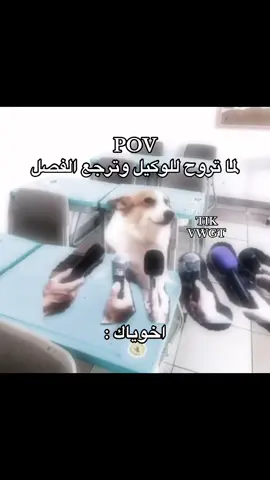 جاي من الاكسبلور ؟ سو فولو 🤍 #VWGT_وسيم 
