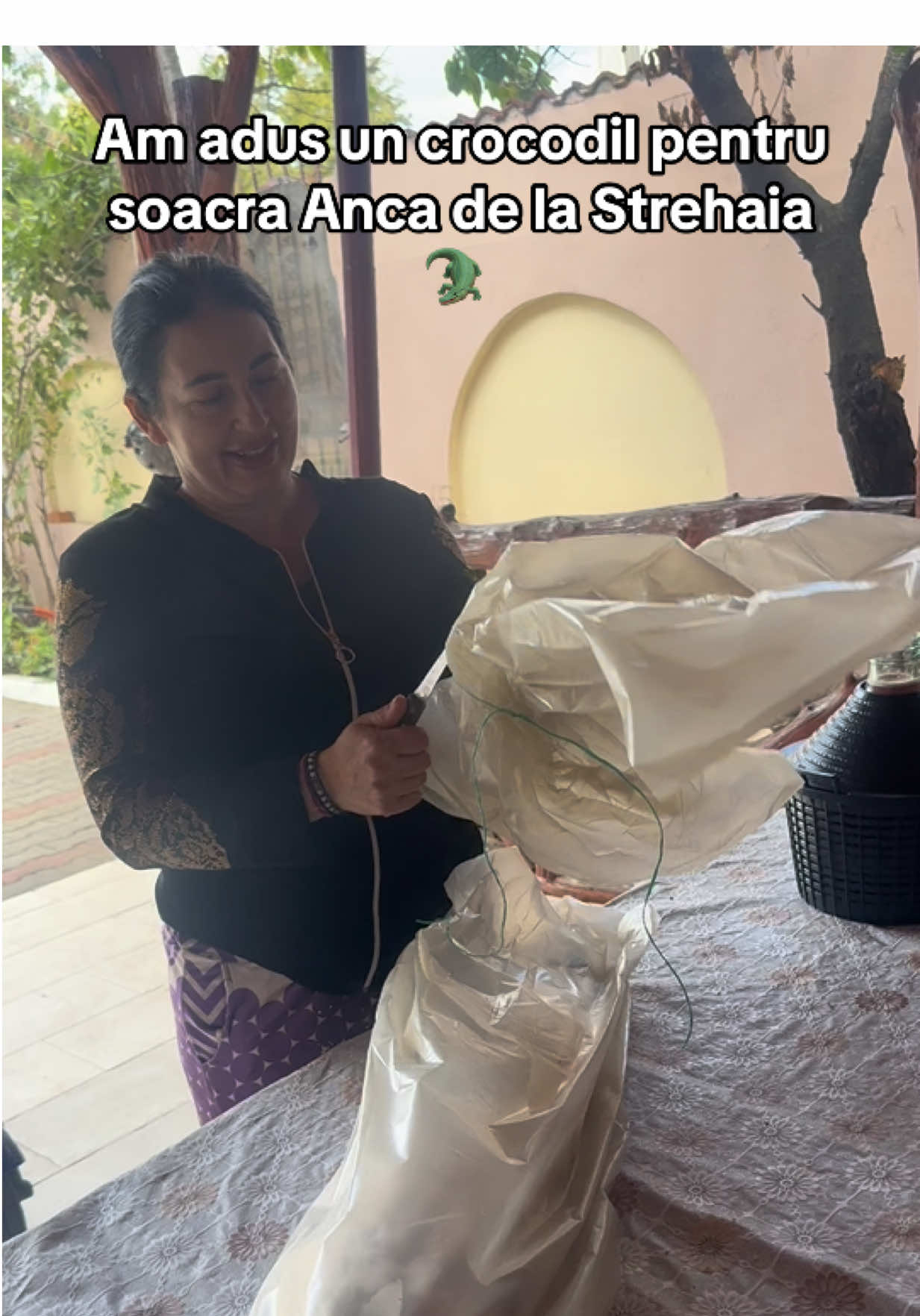 #leodelastrehaia #mihaelatache #ancadelastrehaia #patroanadelastrehaia #alindelastrehaia 