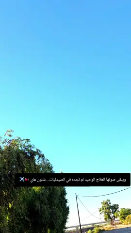 الرد على @g_k_mn_0 اريد عباره اخليه ع البطح خلي اشوف ذوقكم #تصويري📷 #افوراي٦٠٠✈️✈️ #ترند #مجتبى_النوري 