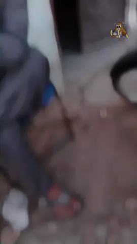 #foryoupage #30kviews #10milion #likecomment #20kviews rasha da husan pa mailu ki khapi rai ki da 